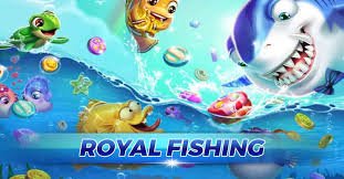 cv999 com